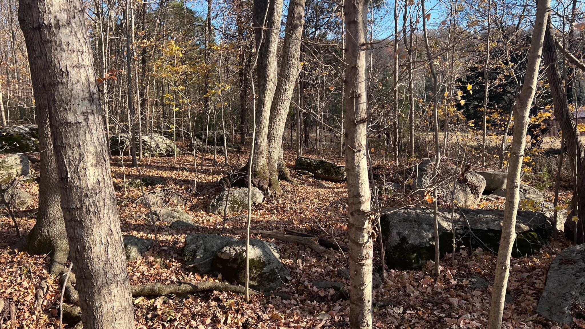 1 Adams Road Watertown, TN 37184 - Photo 7 of 79