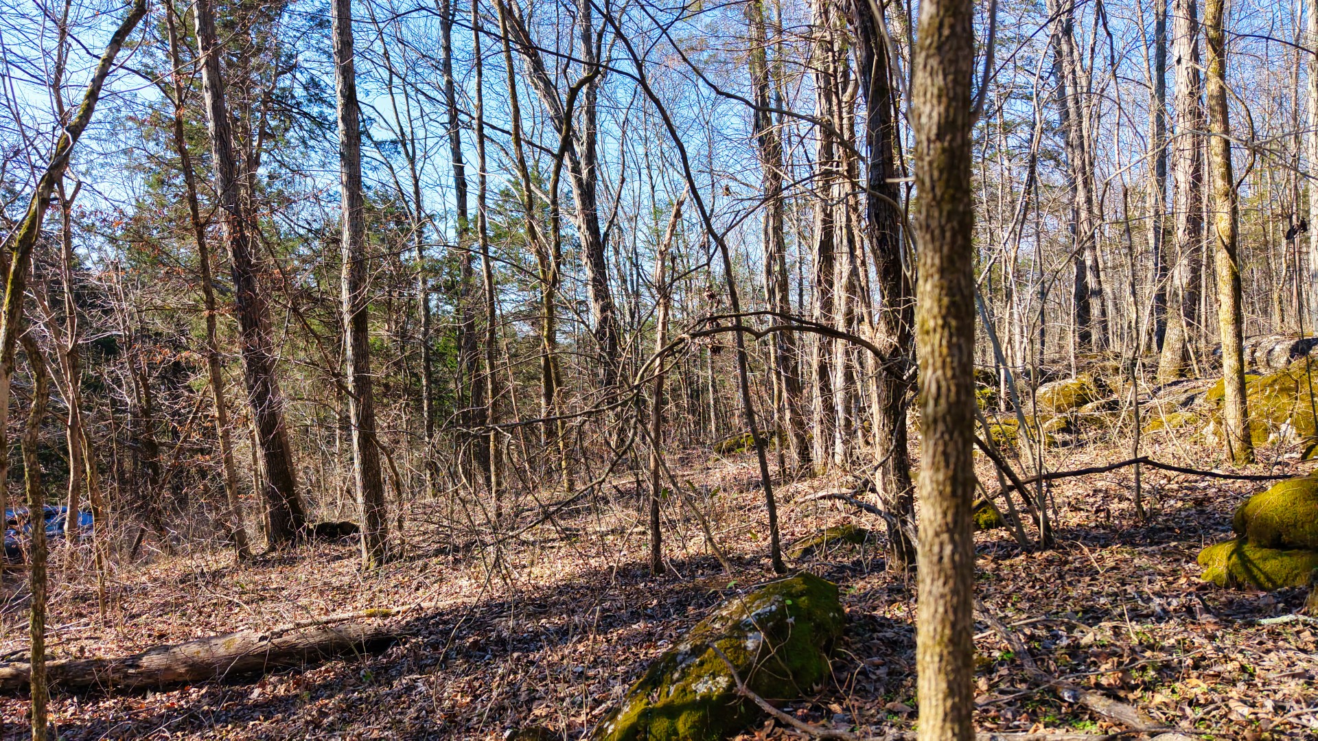 1 Adams Road Watertown, TN 37184 - Photo 71 of 79