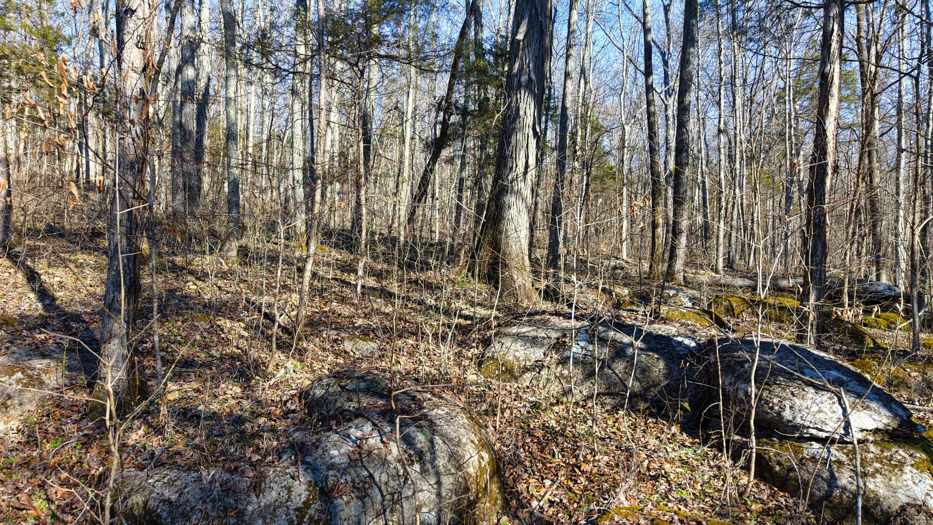 1 Adams Road Watertown, TN 37184 - Photo 72 of 79