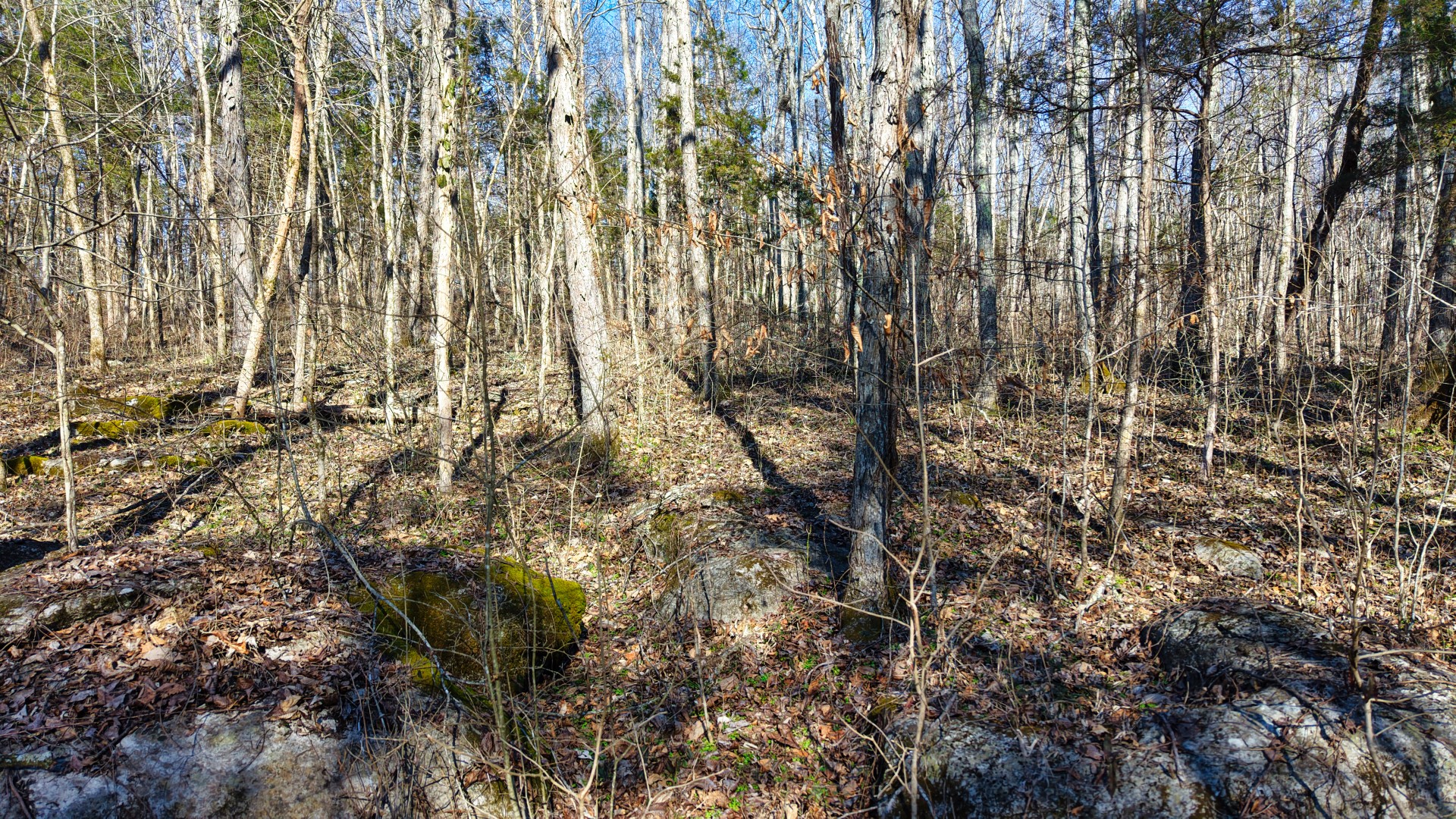 1 Adams Road Watertown, TN 37184 - Photo 73 of 79