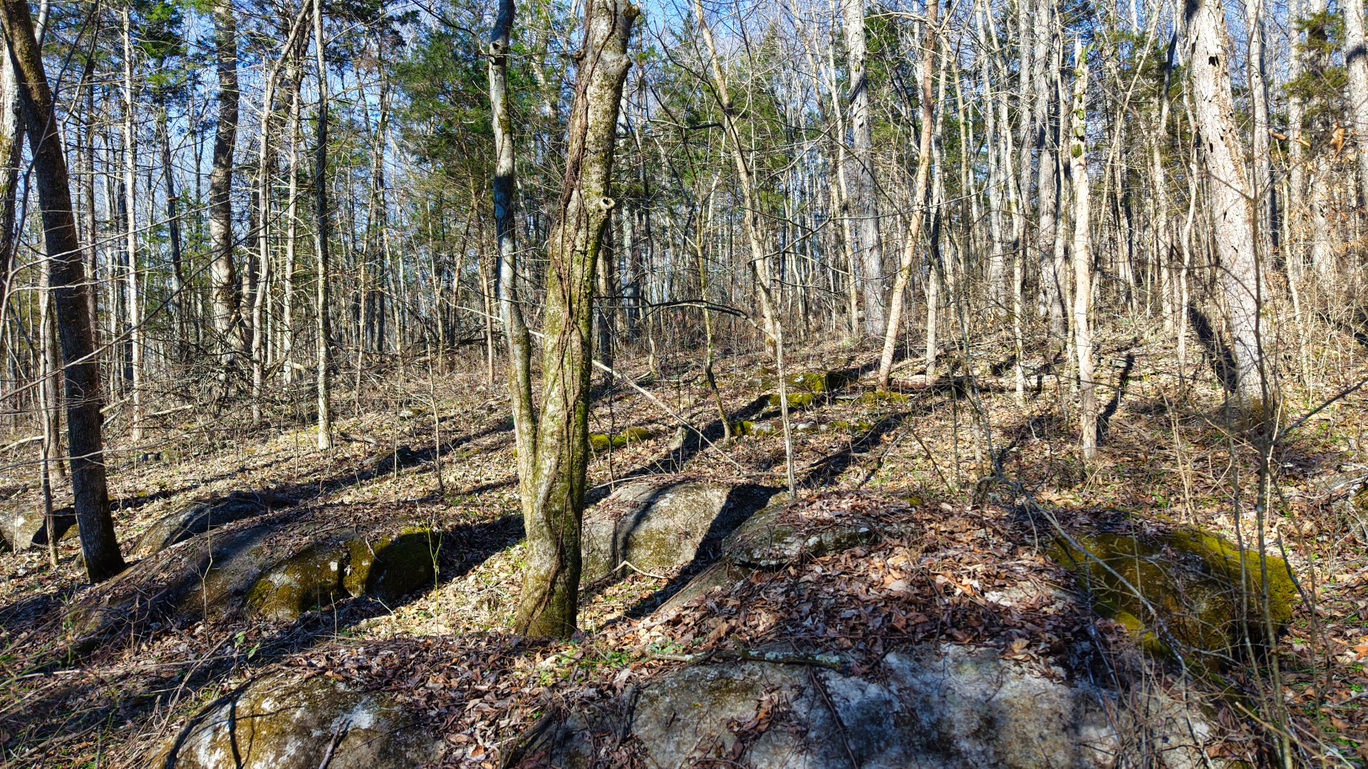 1 Adams Road Watertown, TN 37184 - Photo 74 of 79 a view of residential house with parking space
