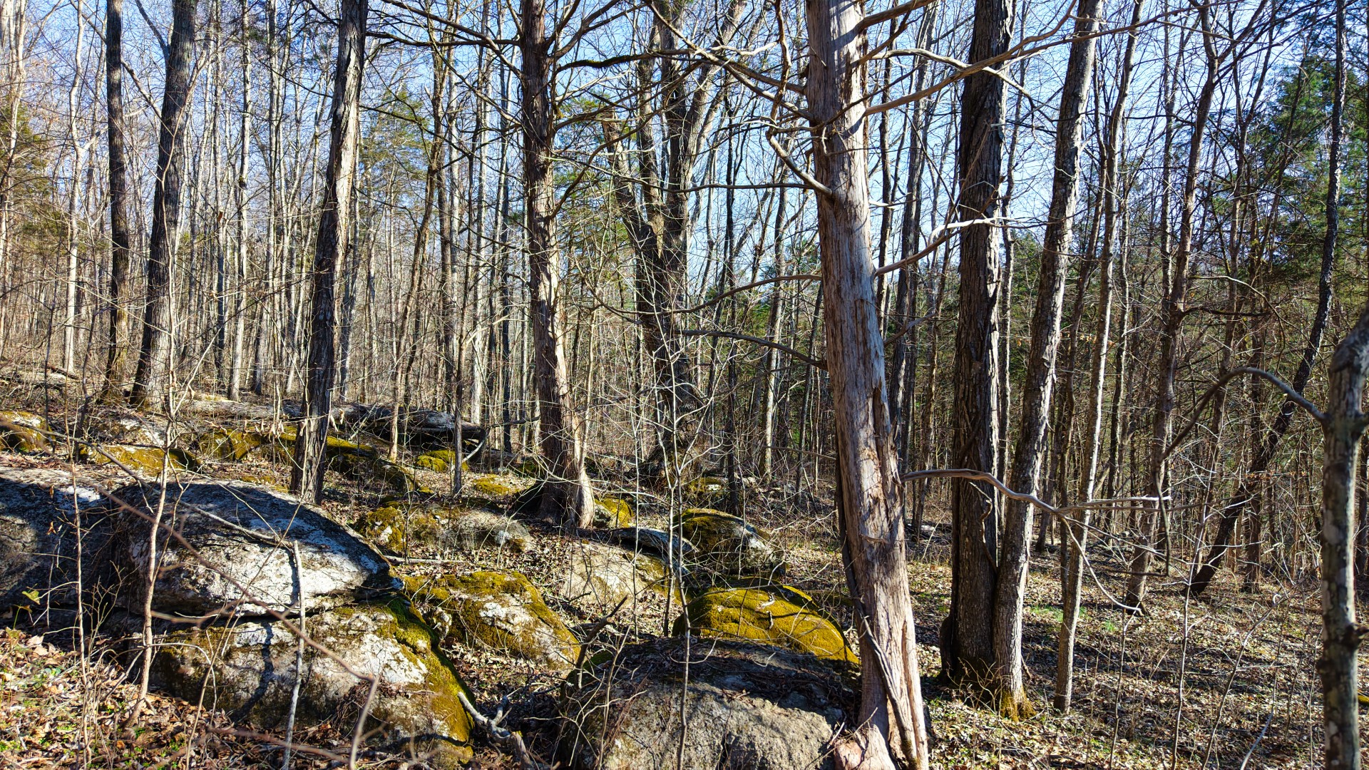 1 Adams Road Watertown, TN 37184 - Photo 76 of 79