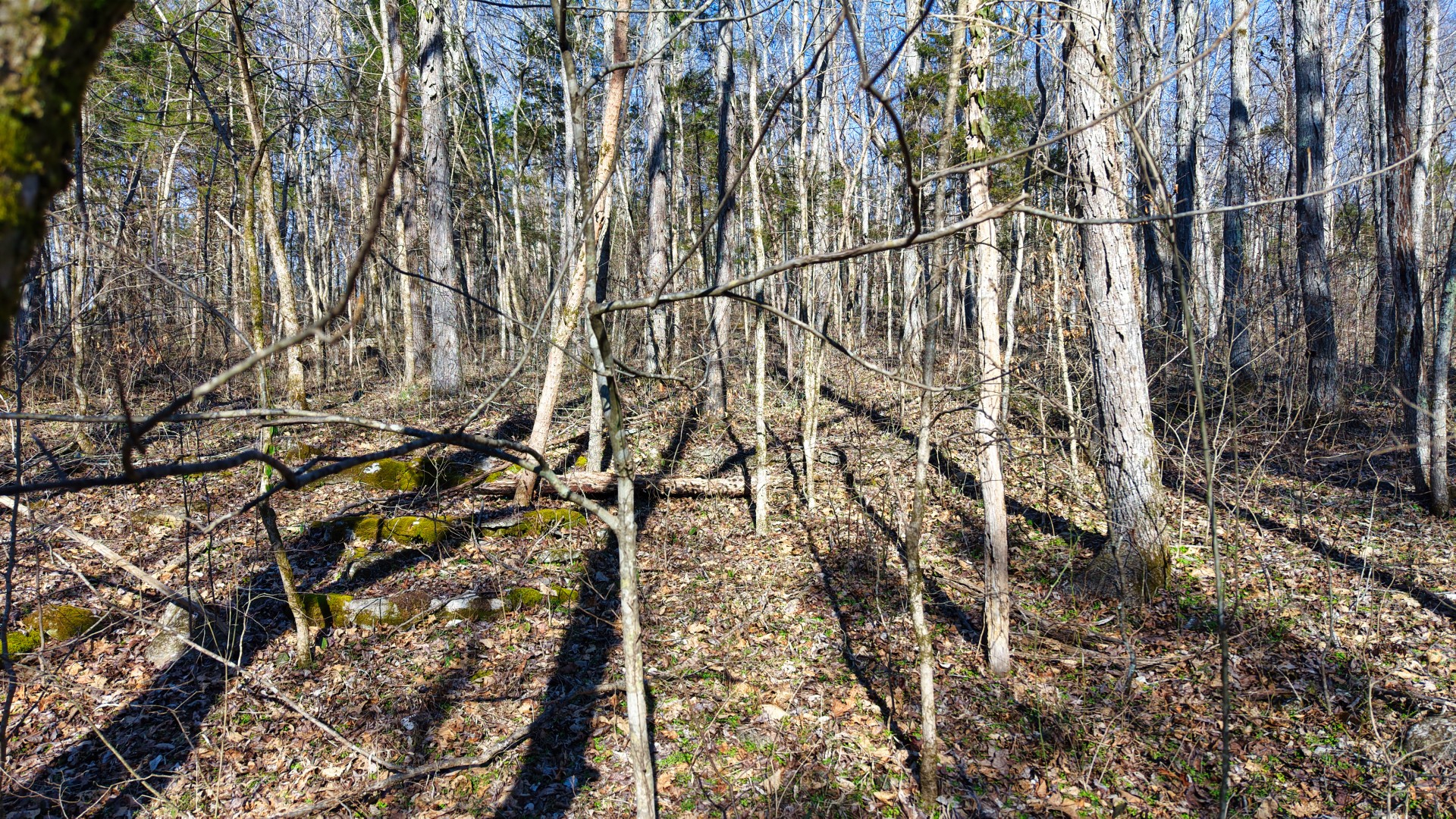 1 Adams Road Watertown, TN 37184 - Photo 78 of 79