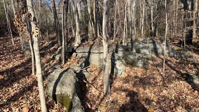 a view of swimming pool with a yard and sitting area