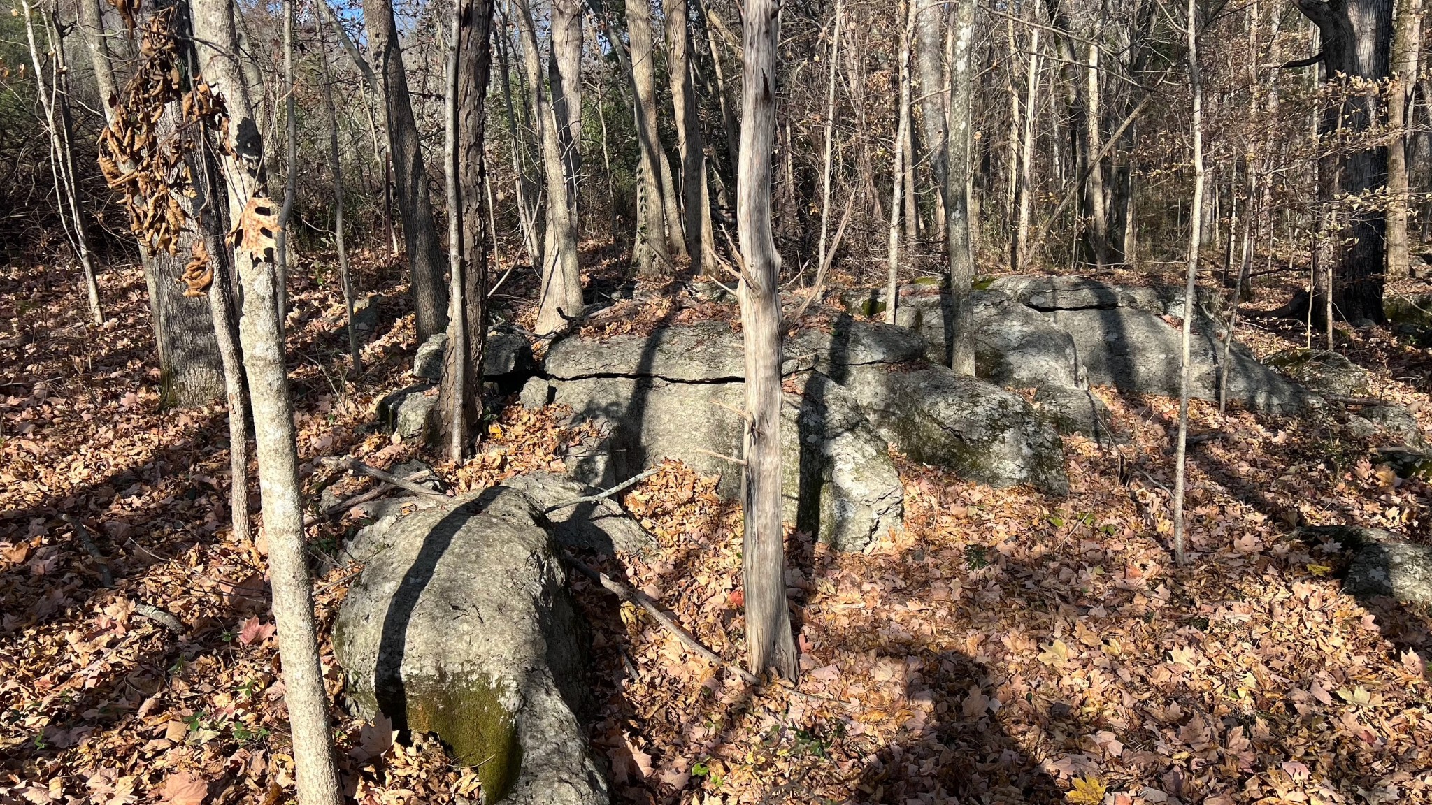1 Adams Road Watertown, TN 37184 - Photo 9 of 79 a view of small yard