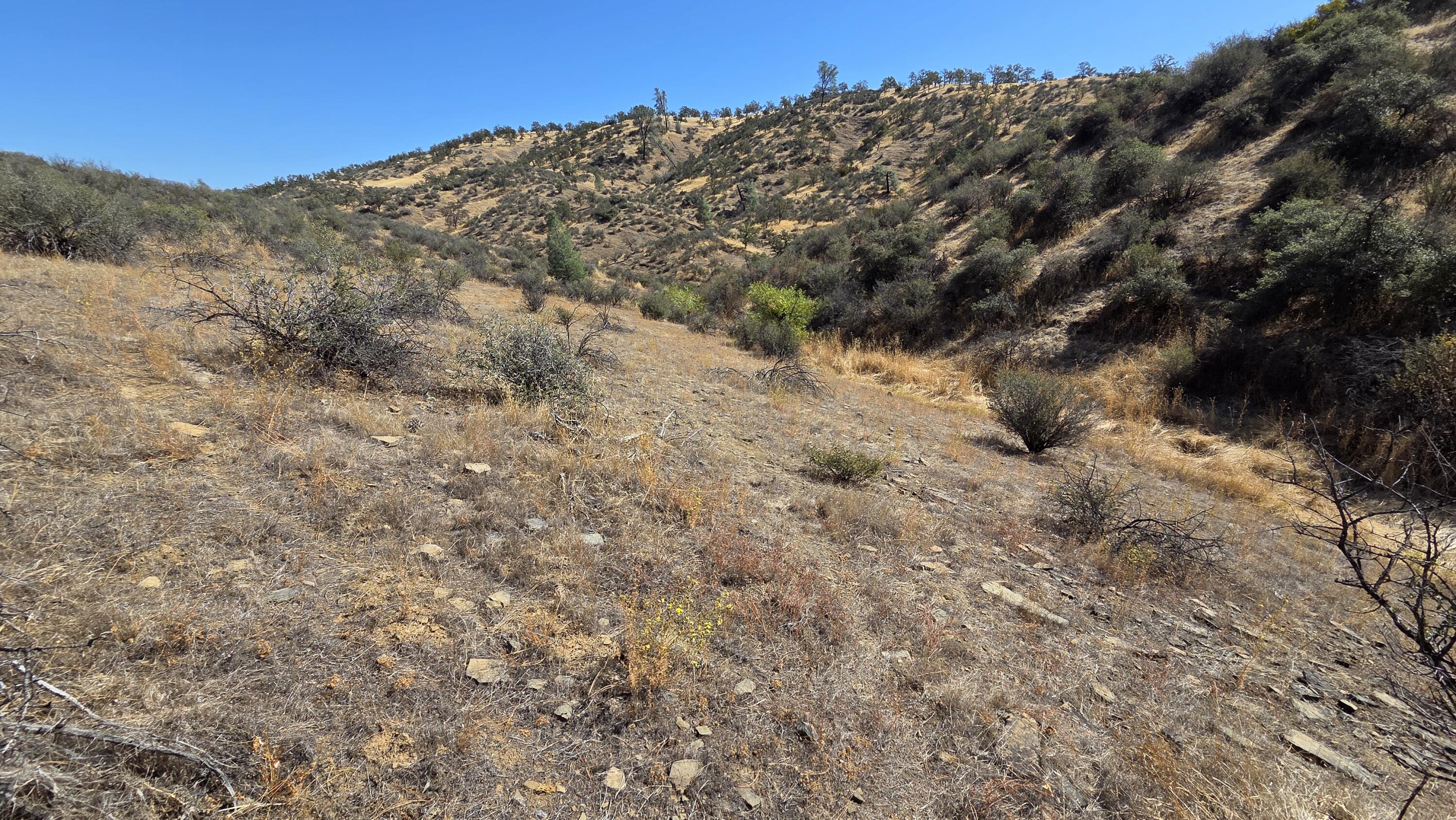 Lot 64 Gogo Road Igo, CA 96047 - Photo 35 of 36 20260916_112233