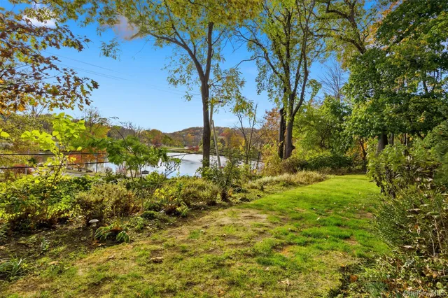 a view of a yard with a tree