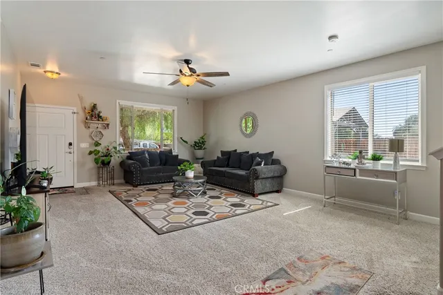 a living room with furniture potted plant and a window