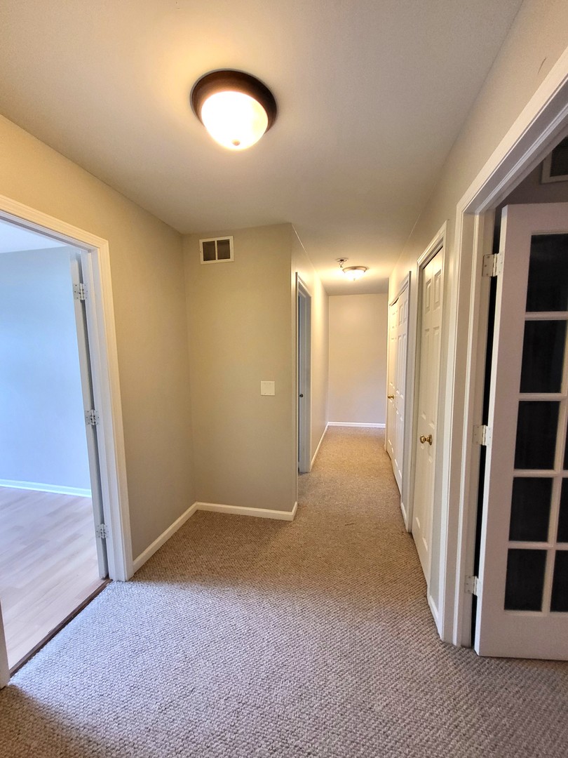 250 Spring Point Drive Carpentersville, IL 60110 - Photo 17 of 26