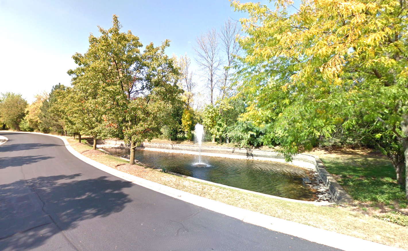 250 Spring Point Drive Carpentersville, IL 60110 - Photo 26 of 26