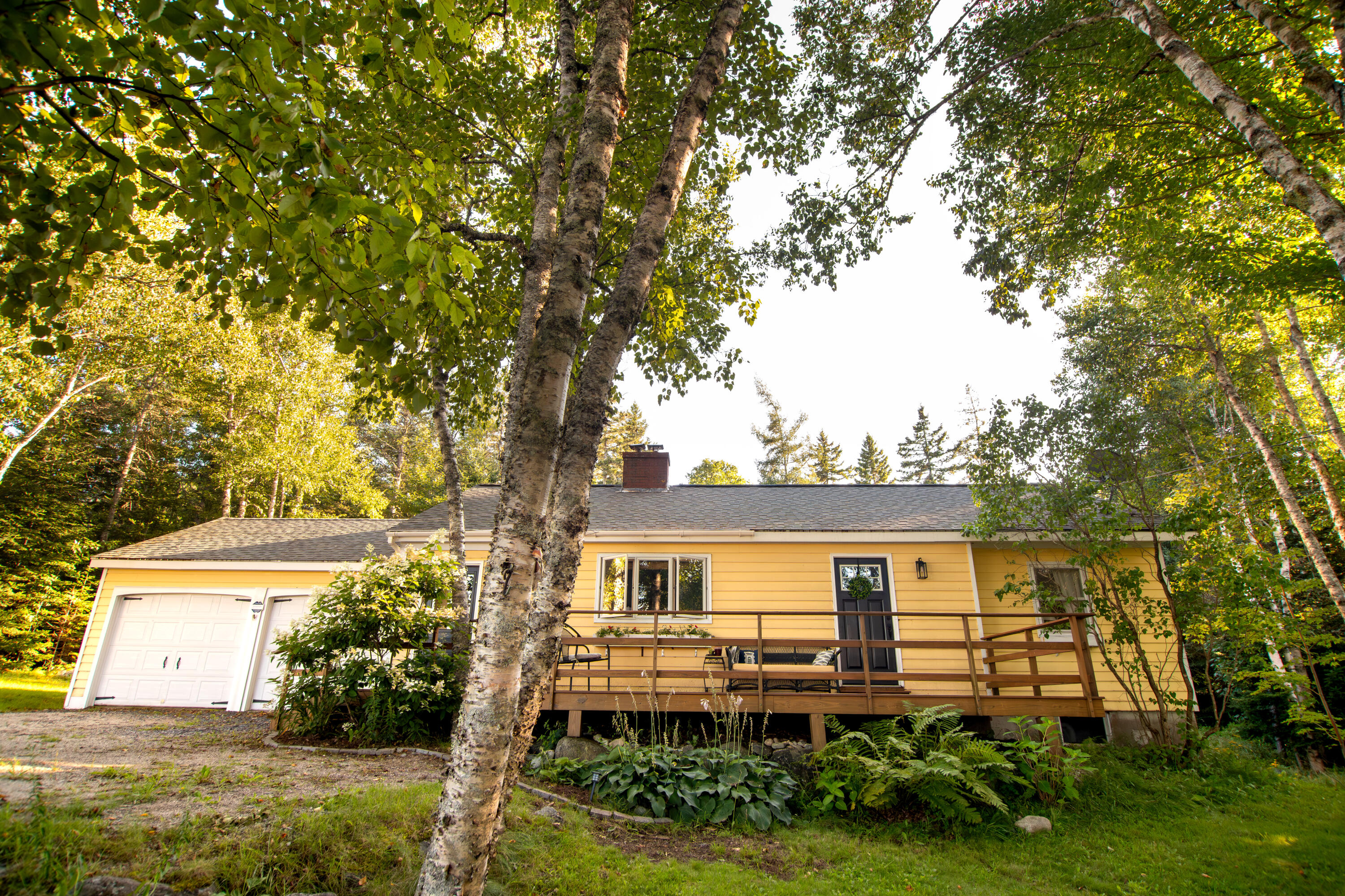 259 Flye Point Road Brooklin, ME 04616 - Photo 2 of 65 259 Flye Point 1-6