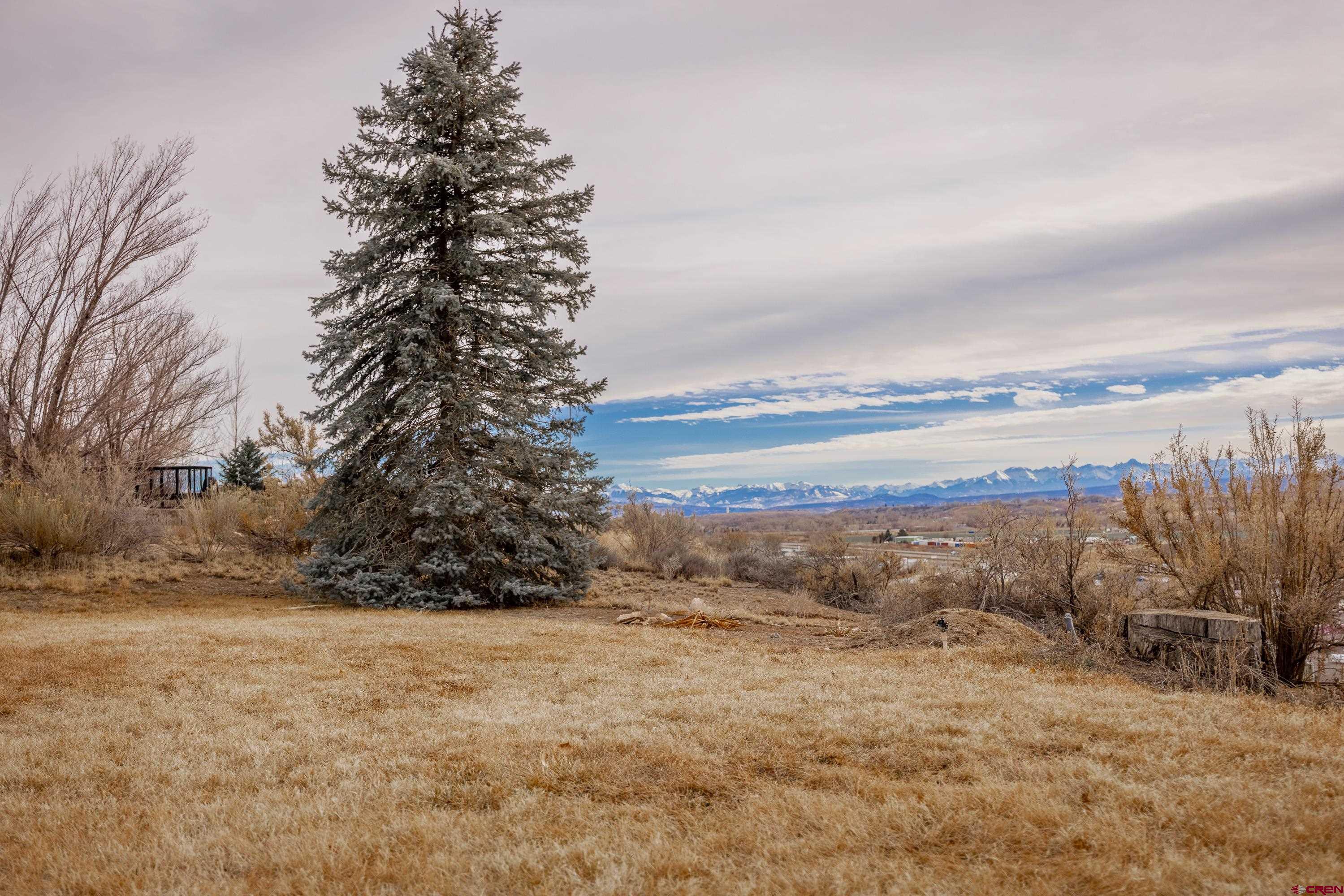 62196 Jig Road Montrose, CO 81401 - Photo 29 of 33 Gallery Image 29