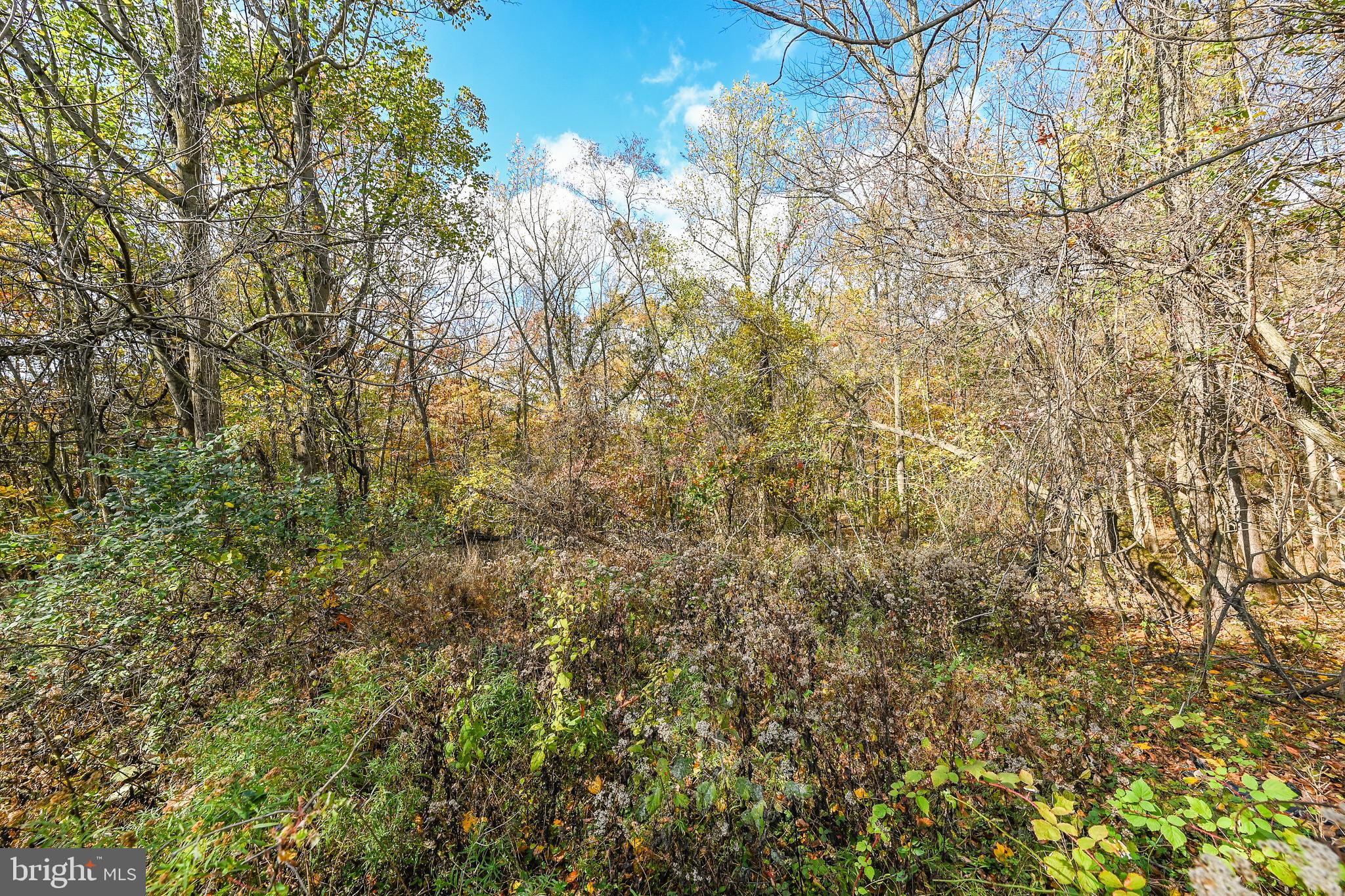 2025 Valley Green Road Etters, PA 17319 - Photo 32 of 39