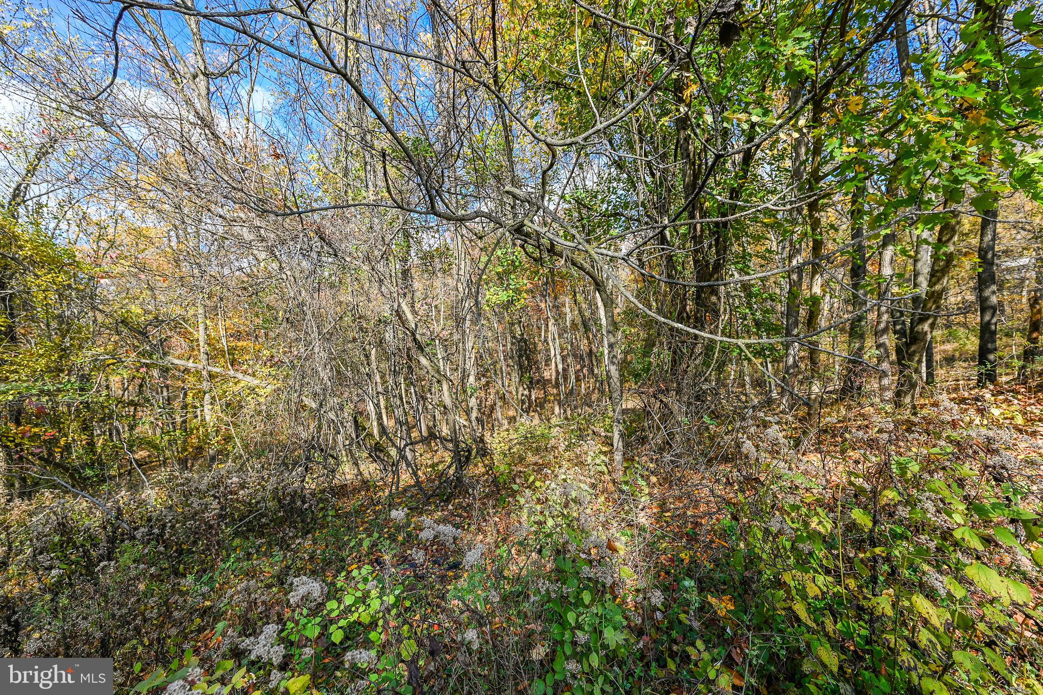 2025 Valley Green Road Etters, PA 17319 - Photo 33 of 39