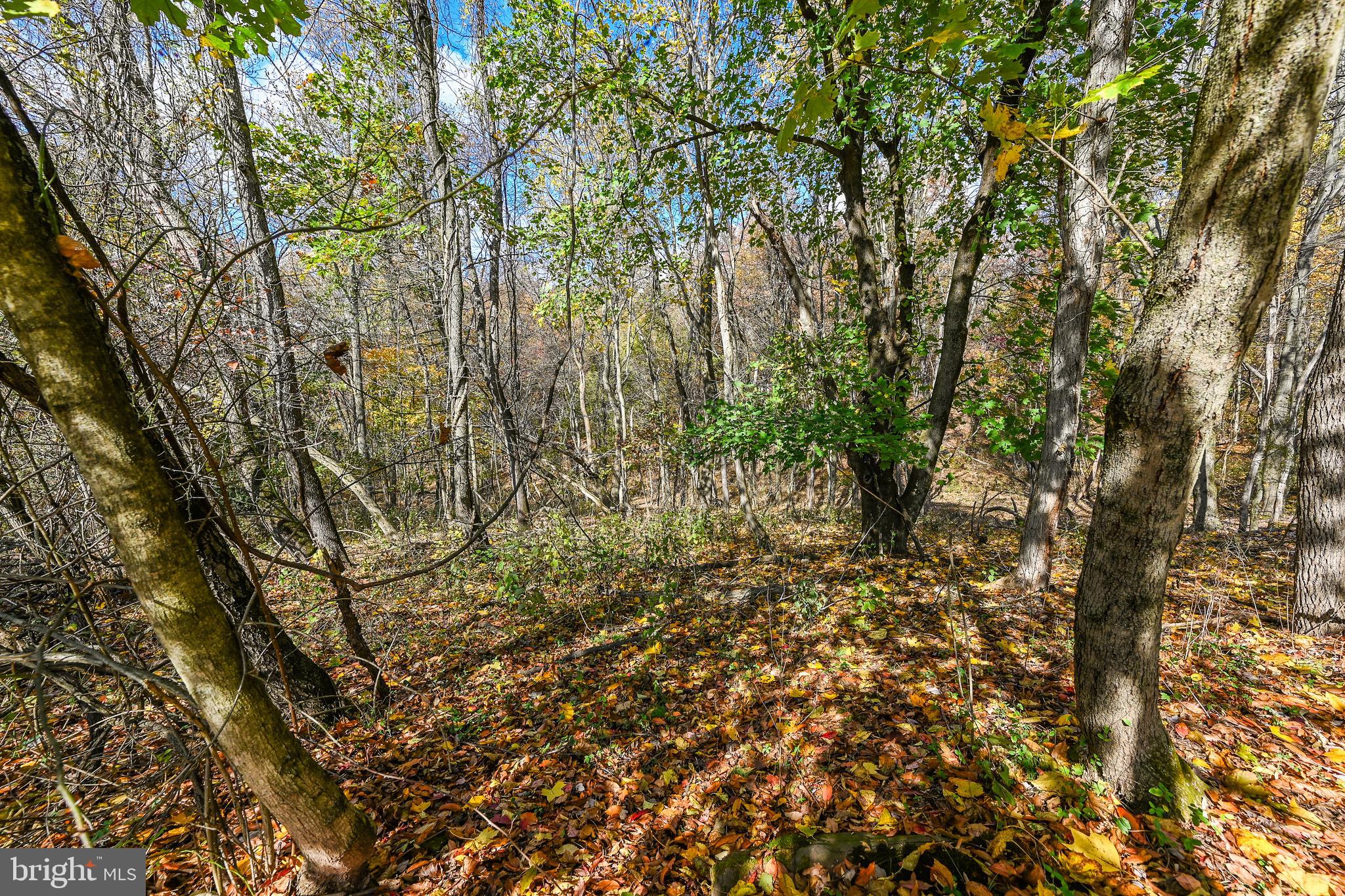 2025 Valley Green Road Etters, PA 17319 - Photo 34 of 39