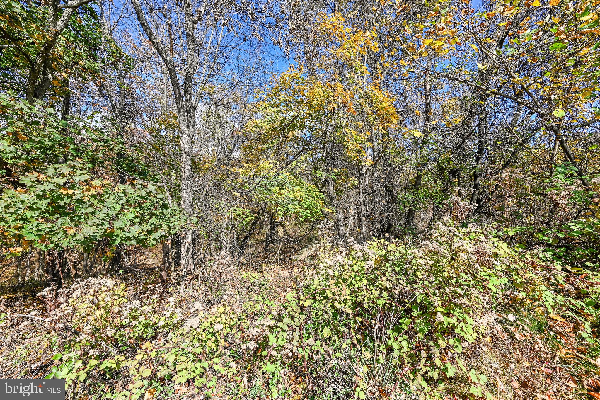 2025 Valley Green Road Etters, PA 17319 - Photo 35 of 39