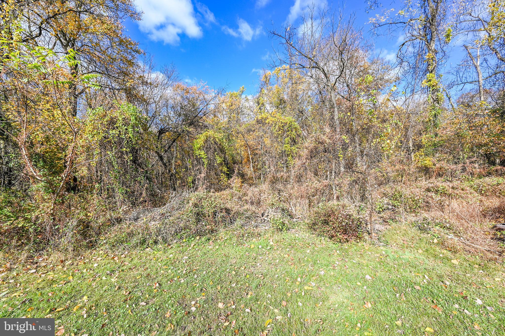 2025 Valley Green Road Etters, PA 17319 - Photo 36 of 39