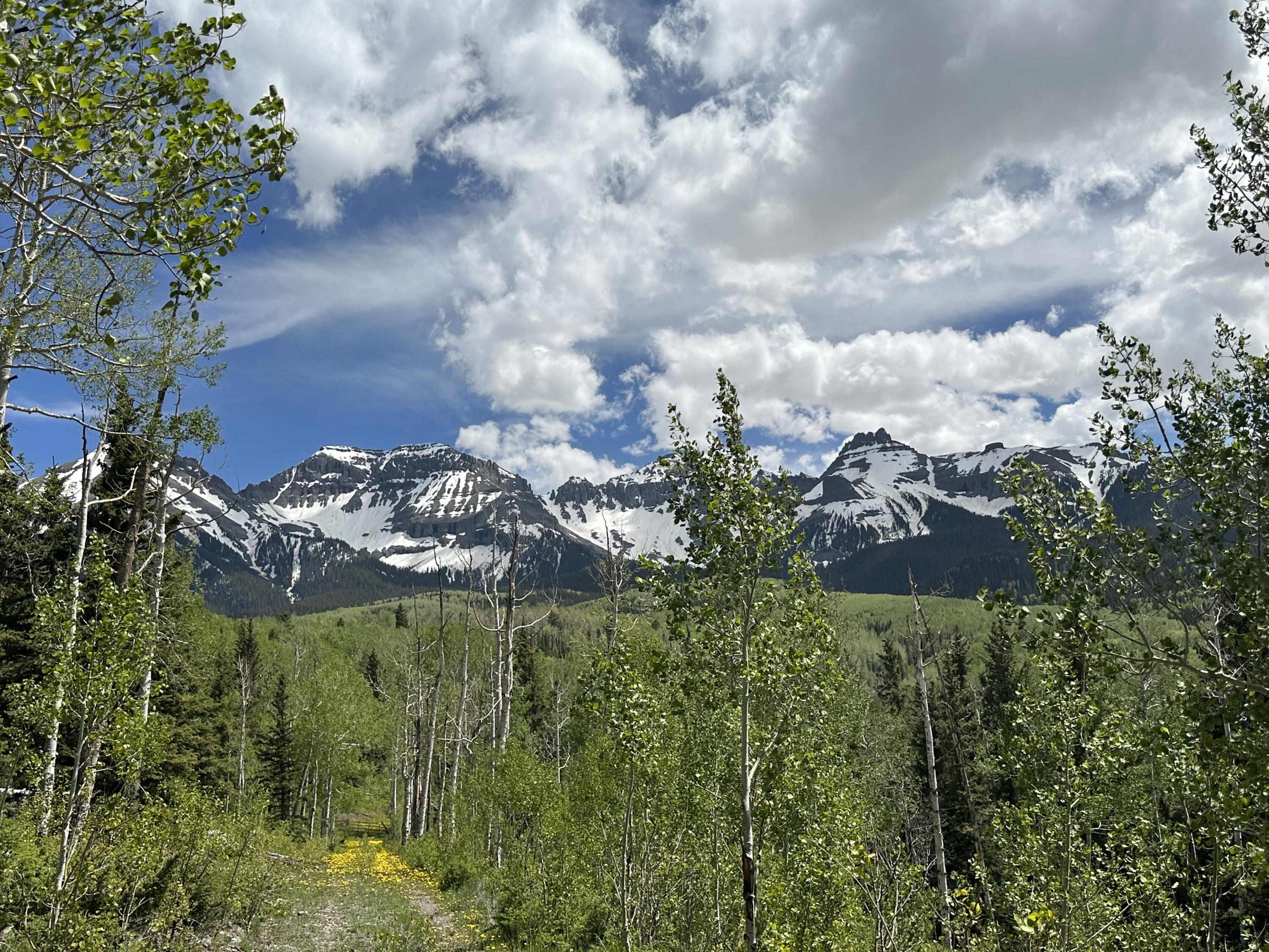 5 County Road 5 Ridgway, CO 81432 - Photo 9 of 19 IMG-7768