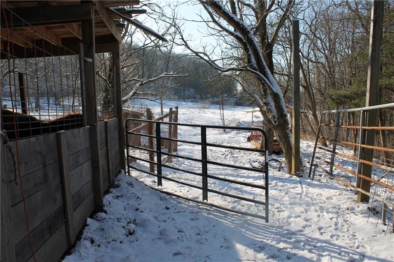 163 Porter Road Harrisville, PA 16038 - Photo 22 of 24 Gallery Image 22