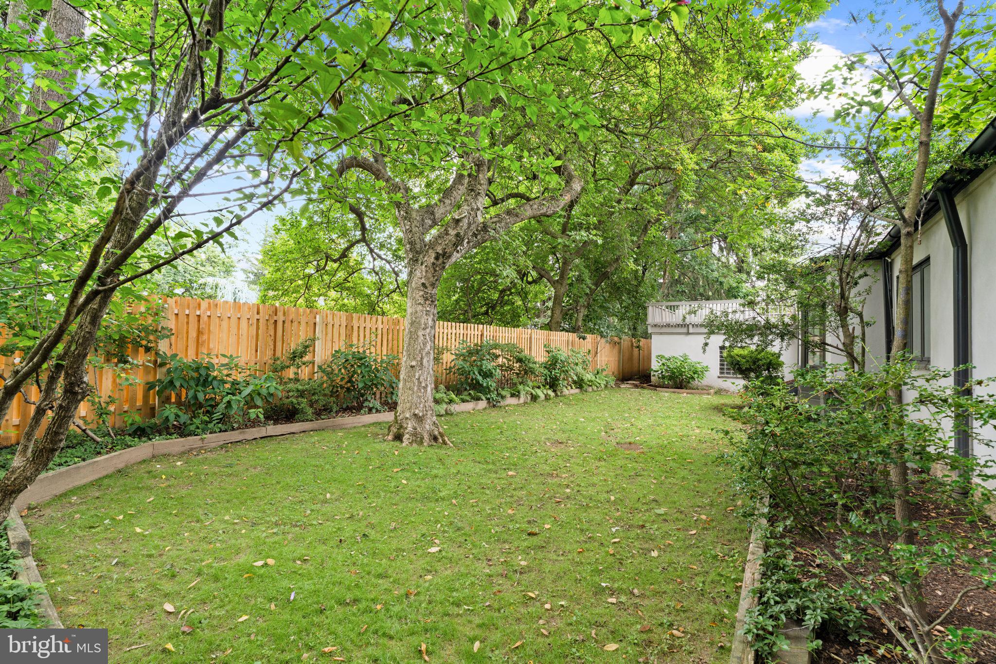 3937 Netherfield Road Philadelphia, PA 19129 - Photo 5 of 84 a backyard of a house with plants and a large tree