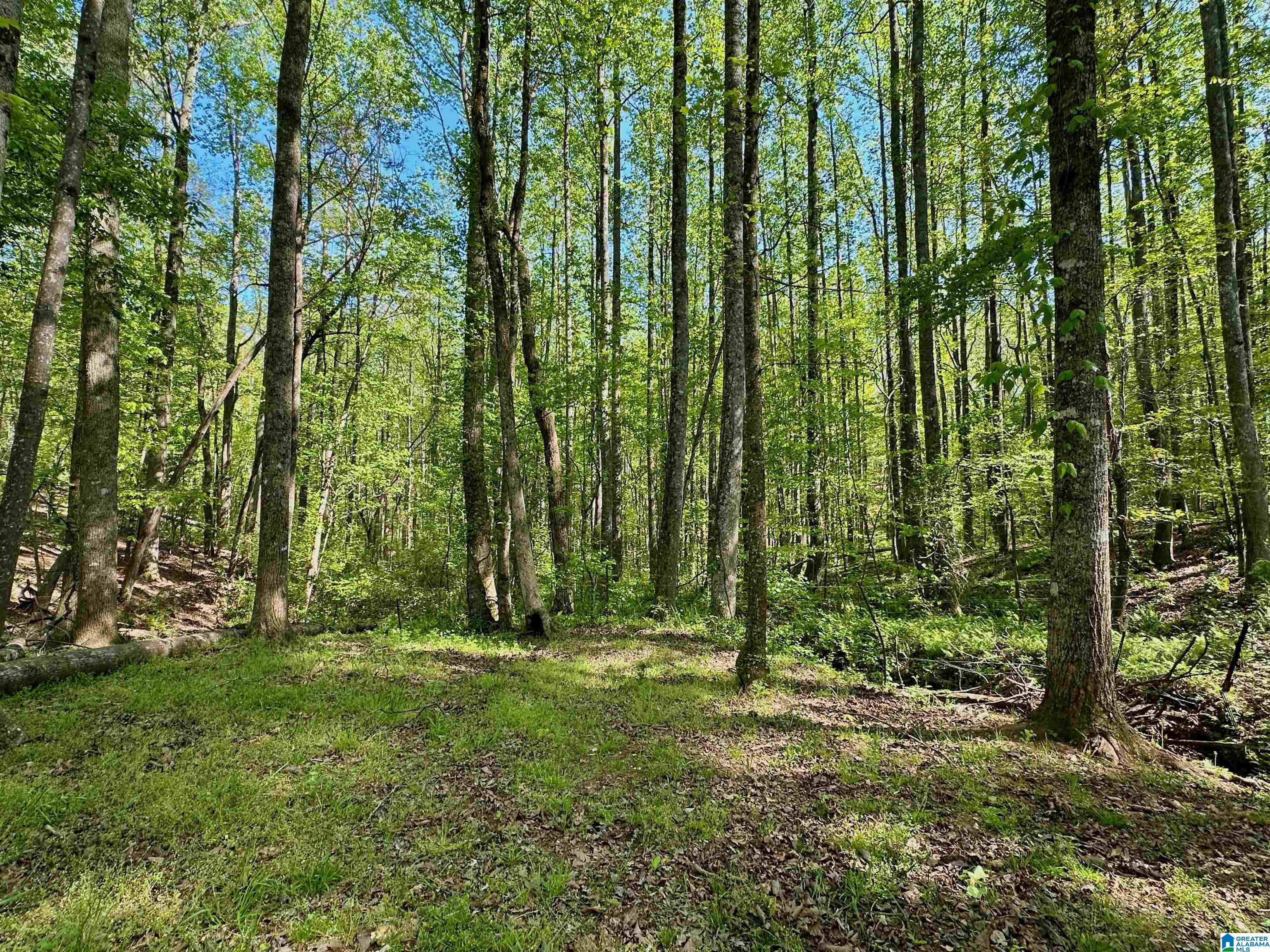 130 Kelly Road Ashland, AL 36251 - Photo 65 of 66