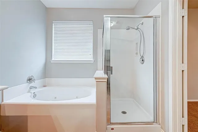 a bathroom with a bath tub and a shower