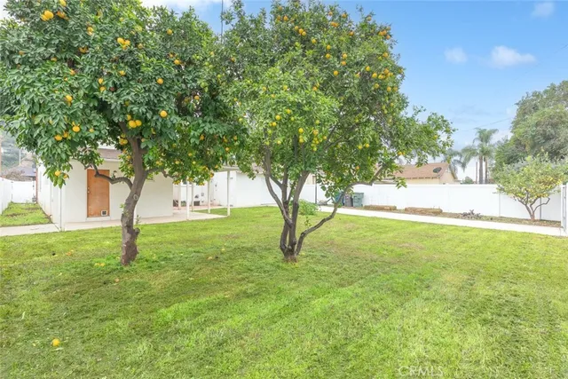 a view of backyard with large trees