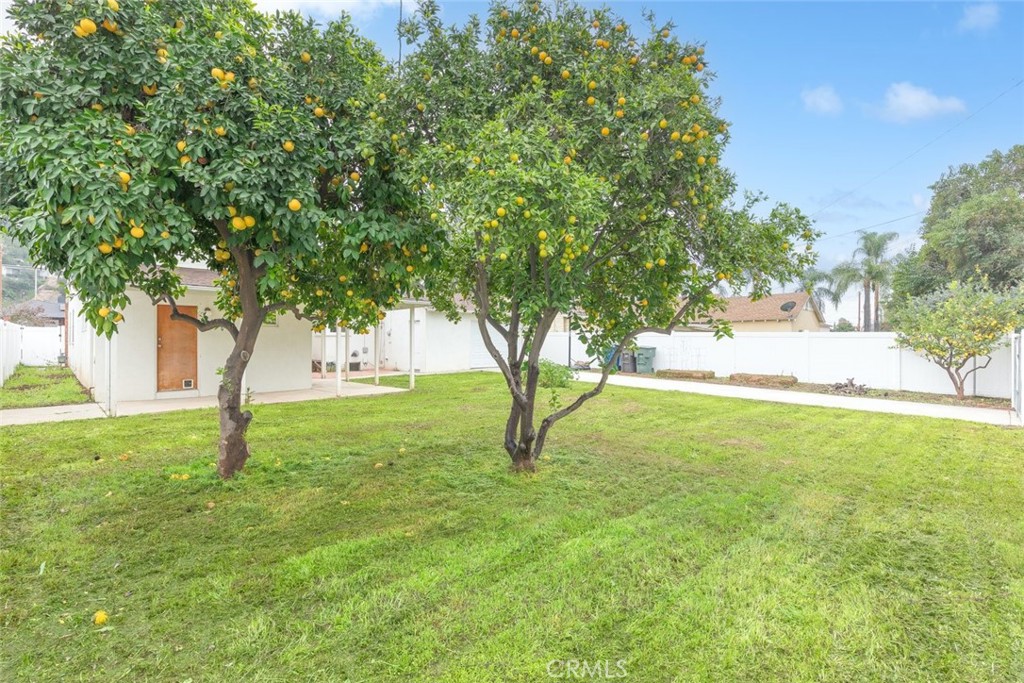5663 Osburn Place Riverside, CA 92506 - Photo 22 of 38 a view of backyard with large trees