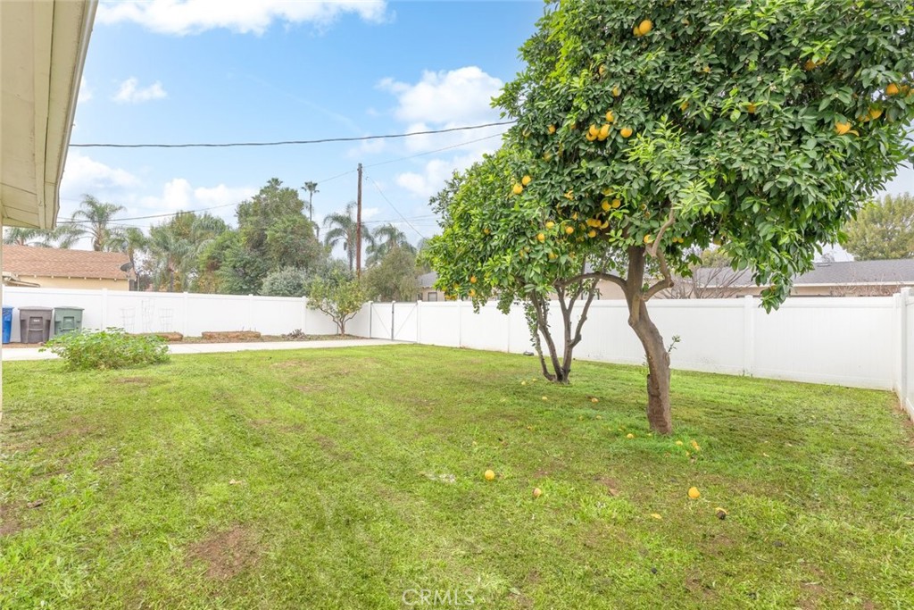 5663 Osburn Place Riverside, CA 92506 - Photo 23 of 38 a view of an outdoor space