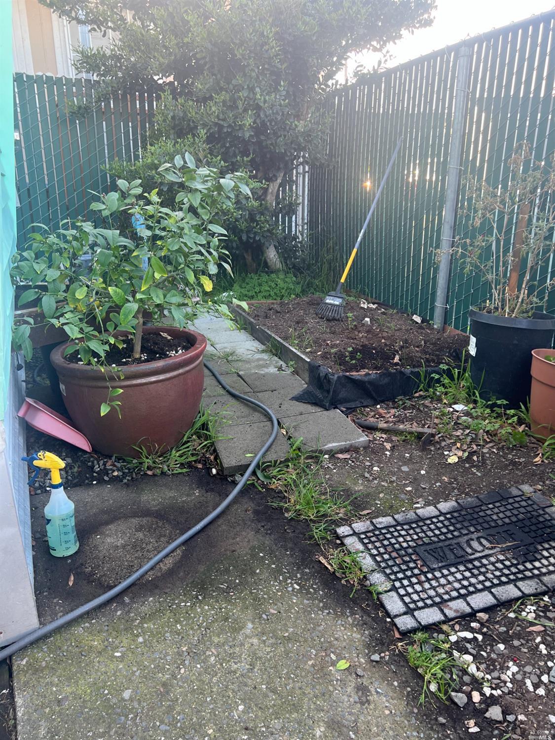 2130 Redwood Highway, Unit F5 Greenbrae, CA 94904 - Photo 14 of 20 a backyard of a house with lots of green space