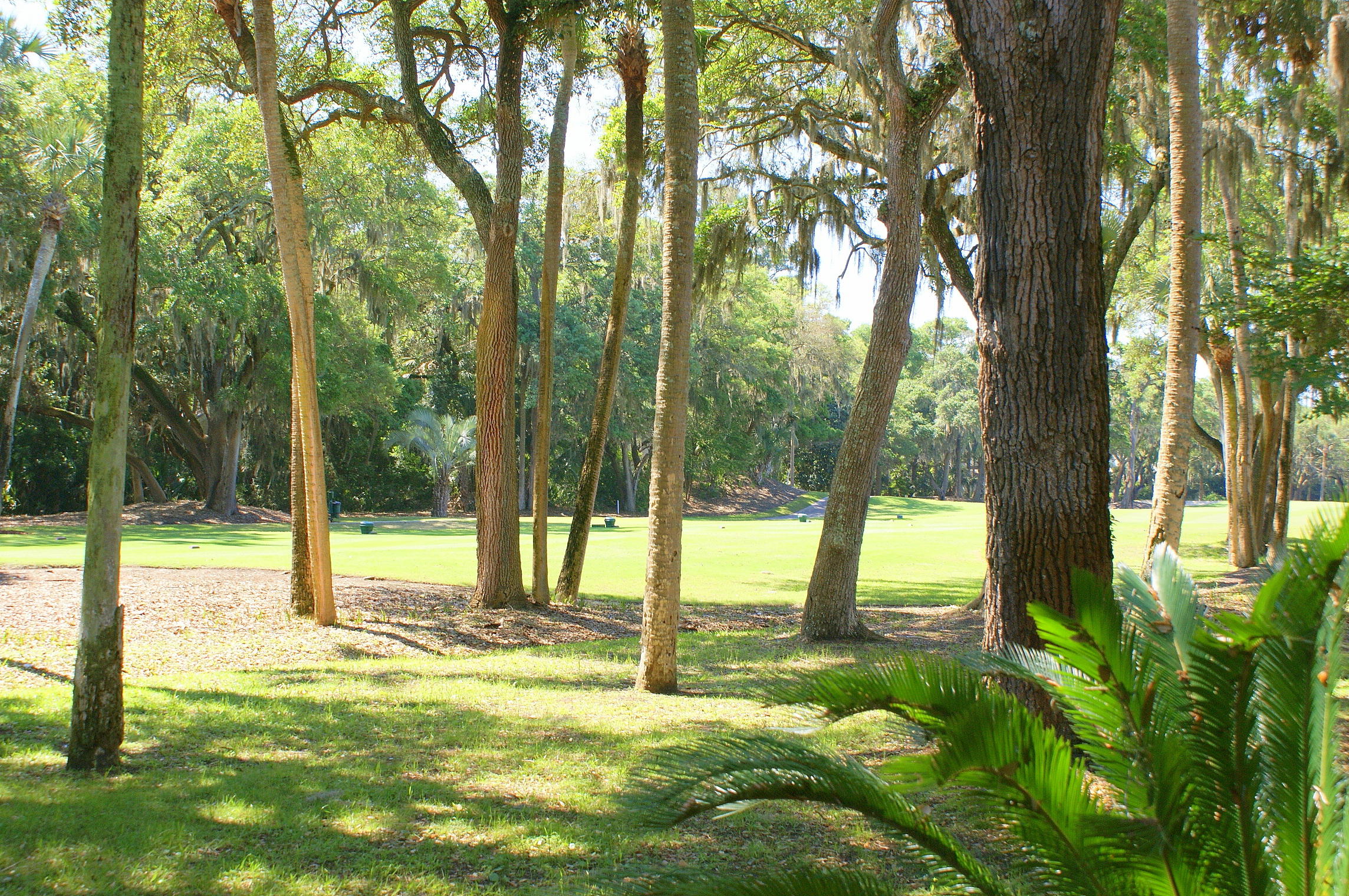 198 High Hammock Road Seabrook Island, SC 29455 - Photo 2 of 18 DSC00289