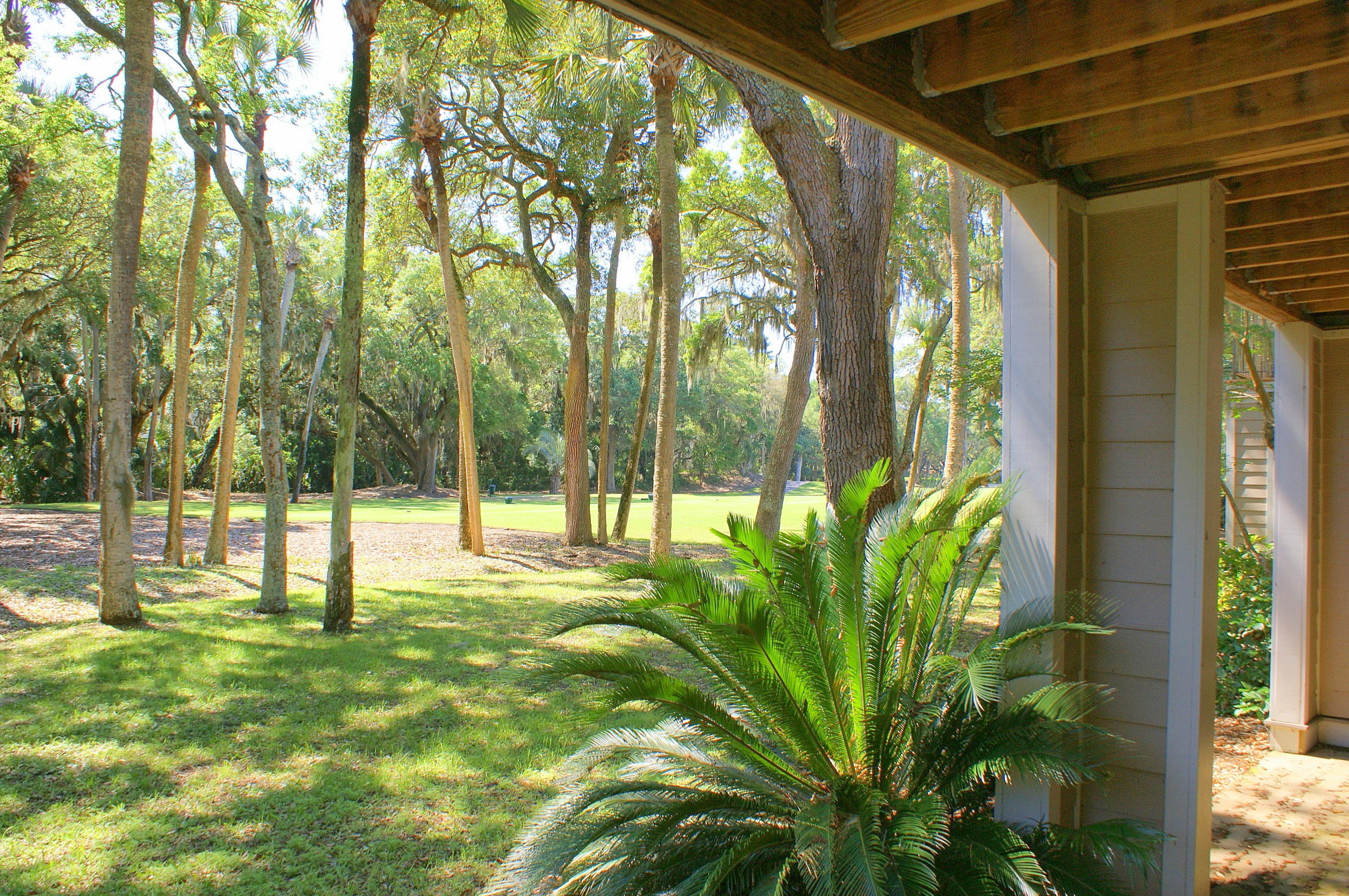 198 High Hammock Road Seabrook Island, SC 29455 - Photo 17 of 18 DSC00284