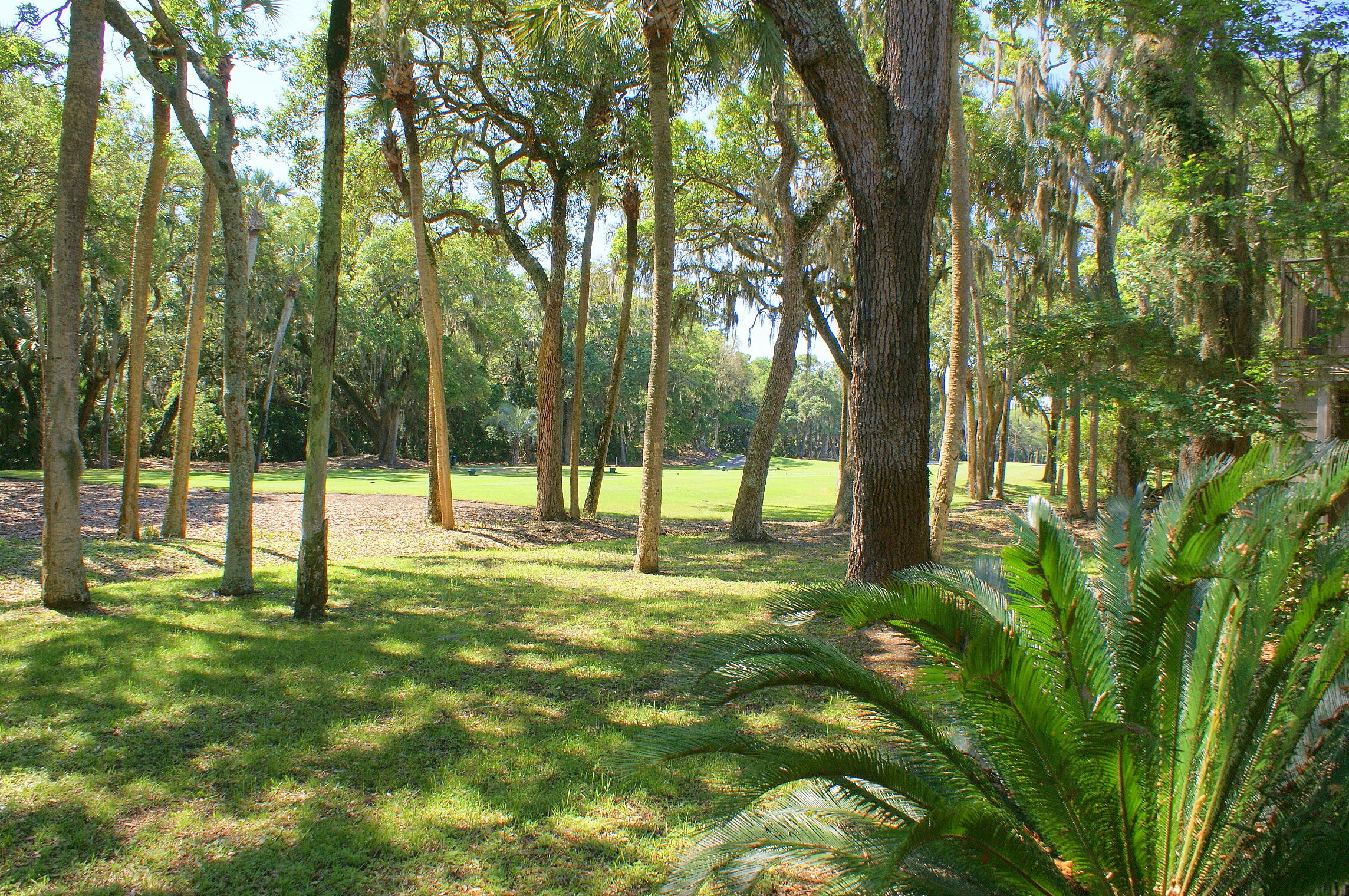 198 High Hammock Road Seabrook Island, SC 29455 - Photo 18 of 18 DSC00285