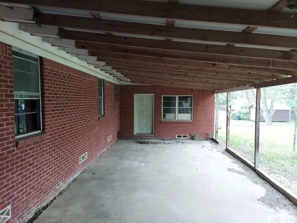 a view of backyard with large tree