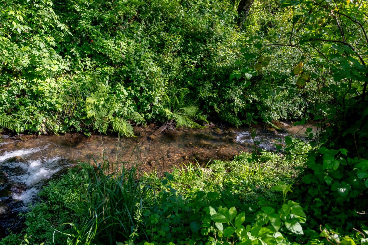2570 Purisima Creek Road Half Moon Bay, CA 94019 - Photo 73 of 85