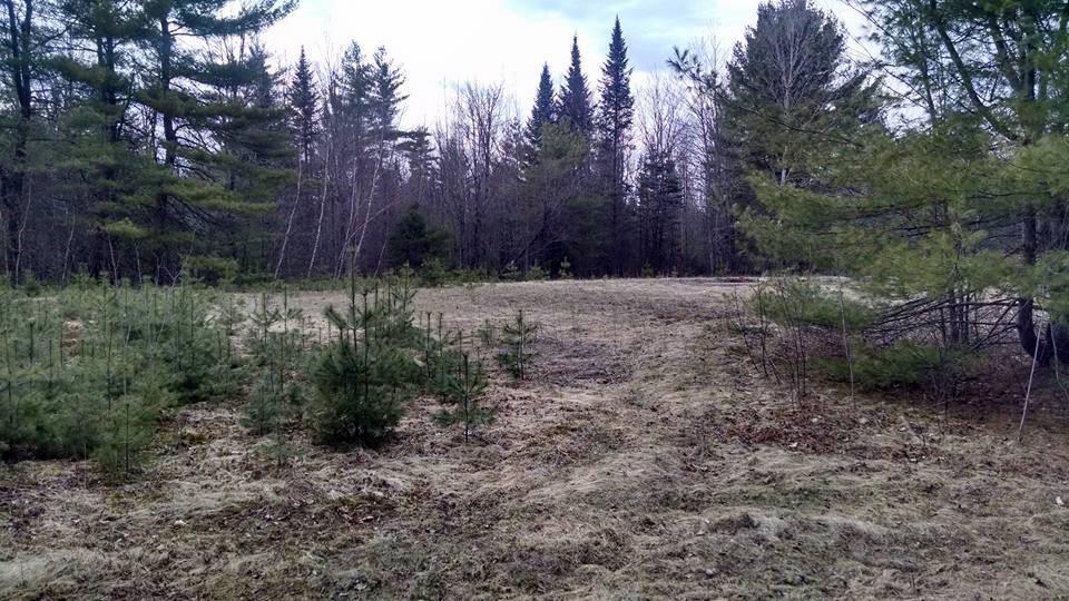 42 Upper River Road Greenbush, ME 04418 - Photo 5 of 5 Photo