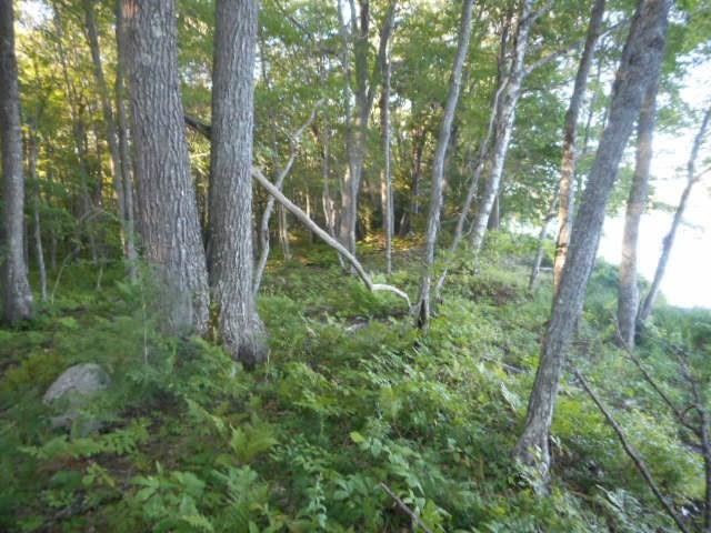 R3-18 Mattmiscontis Road Howland, ME 04448 - Photo 10 of 22 Photo