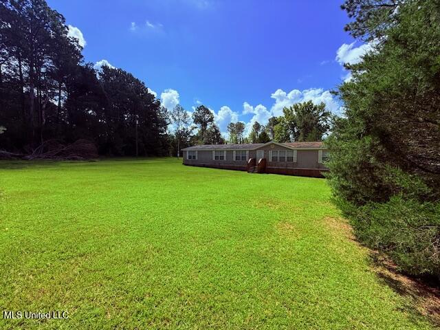 97 Jack Duncan Road Tylertown, MS 39667 - Photo 31 of 33 IMG_0427