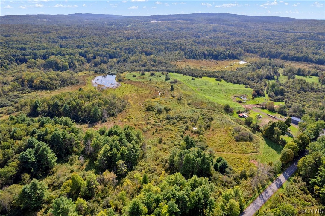 0 Bethel Road Remsen, NY 13438 - Photo 1 of 1 Gallery Image 1