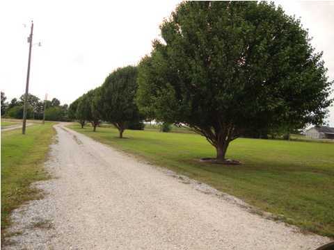 2119 Riceland Road Duson, LA 70529 - Photo 15 of 15 Additional Photo