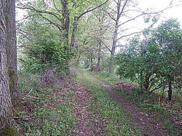 9500 Jones Road Bellevue, MI 49021 - Photo 11 of 35 DSCN1335