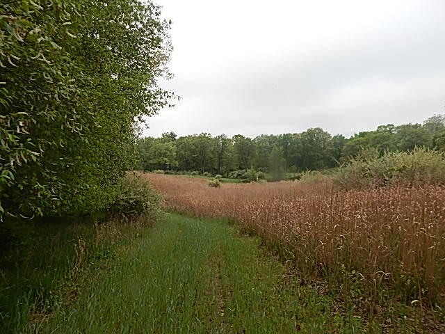 9500 Jones Road Bellevue, MI 49021 - Photo 13 of 35 DSCN1337