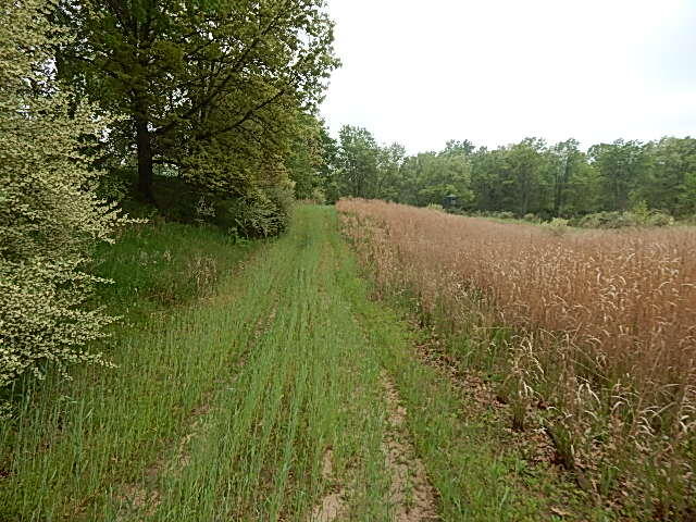 9500 Jones Road Bellevue, MI 49021 - Photo 14 of 35 DSCN1338