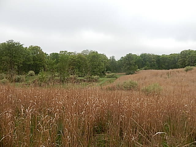 9500 Jones Road Bellevue, MI 49021 - Photo 15 of 35 DSCN1339