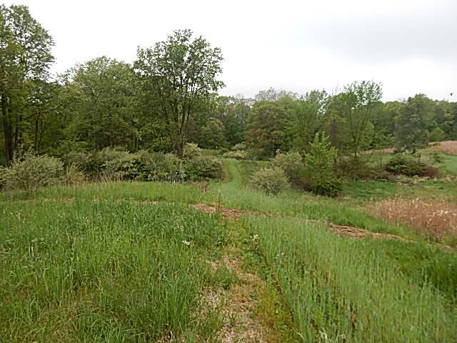9500 Jones Road Bellevue, MI 49021 - Photo 18 of 35 DSCN1342