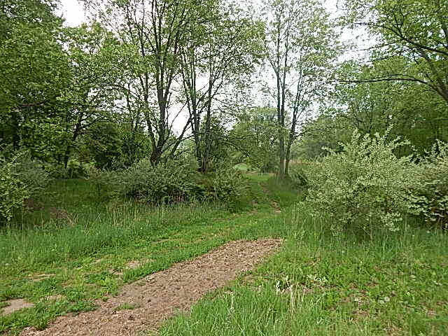 9500 Jones Road Bellevue, MI 49021 - Photo 20 of 35 DSCN1344
