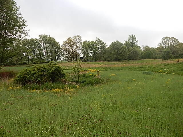 9500 Jones Road Bellevue, MI 49021 - Photo 23 of 35 DSCN1347