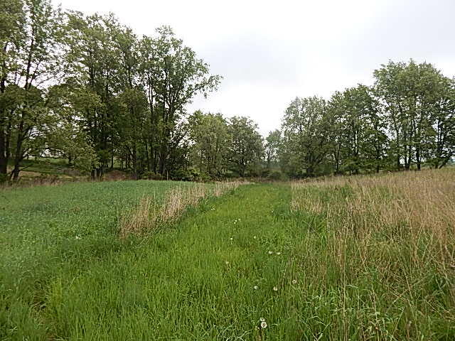 9500 Jones Road Bellevue, MI 49021 - Photo 24 of 35 DSCN1348