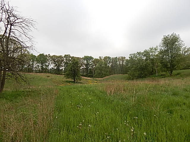 9500 Jones Road Bellevue, MI 49021 - Photo 26 of 35 DSCN1350
