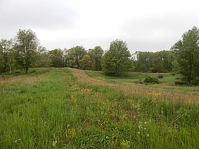 9500 Jones Road Bellevue, MI 49021 - Photo 27 of 35 DSCN1351